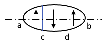The central band of the contact region (theoretically) does not slip, while the outer band slips due to the larger radius or distance from the axis of rotation.