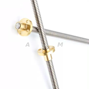 Low Friction Diameter 10mm T10 Trapezoidal Tr10x6 Lead Screw for Surgical Robot